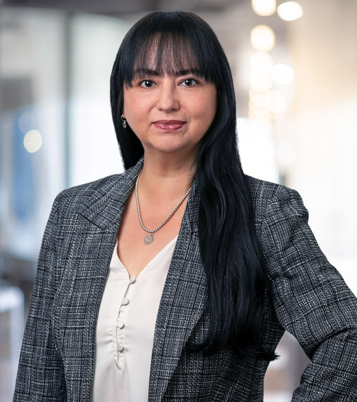 Karena Higby, McDonald Hopkins LLC Photo